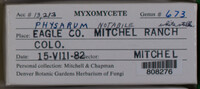 Image Associated With the Occurence